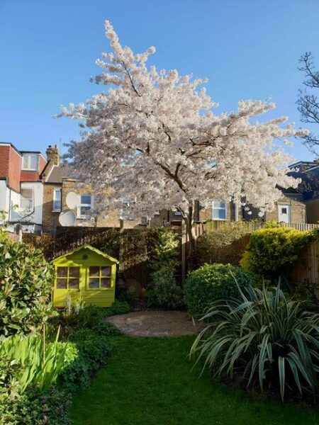 Roslyn Road, London